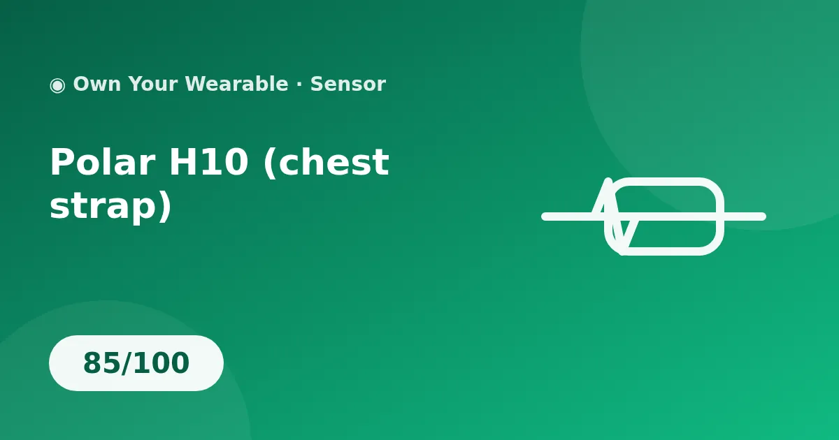 Polar H10 (chest strap) illustration